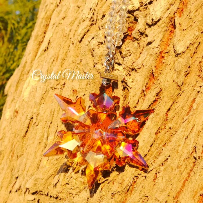 ⁦نجم سهيل البرتقالي Suhail Star Orange⁩ - الصورة ⁦4⁩