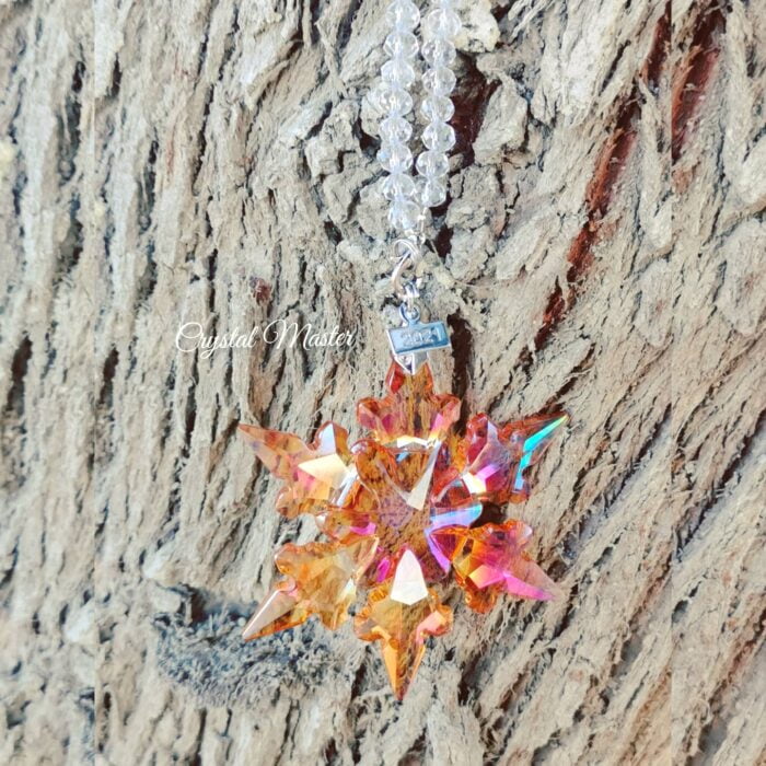⁦نجم سهيل البرتقالي Suhail Star Orange⁩ - الصورة ⁦2⁩