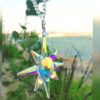 نجمة الشمال رينبو   North Star Rainbow
