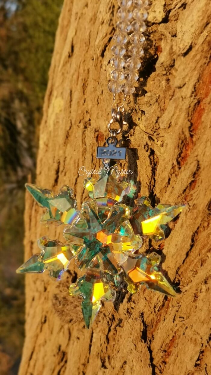 ⁦نجم سهيل رينبو Suhail Star Rainbow⁩ - الصورة ⁦2⁩